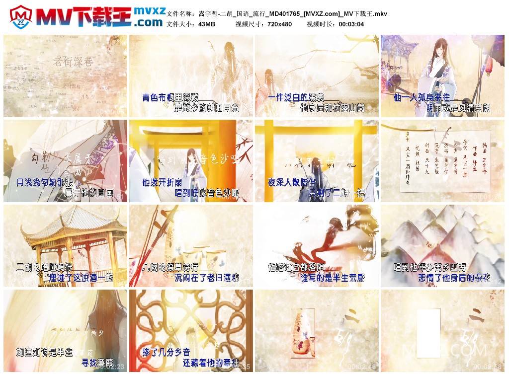 嵩宇哲-二胡_国语_流行_MD401765